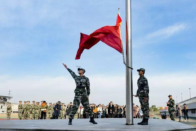 要被哈尔滨的白狐萌化了,在游客的怀里挖呀挖呀挖